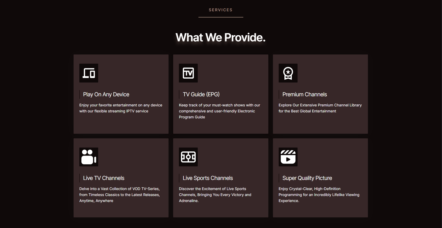Services Section - What We Provide